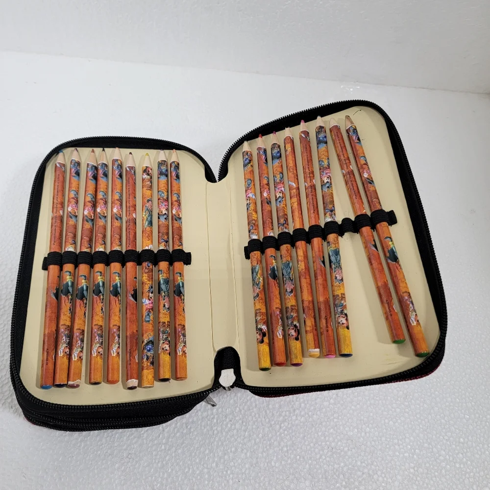Disney Parks Mickey Mouse Pirates of the Caribbean Zip Art Set Pencil Case T18